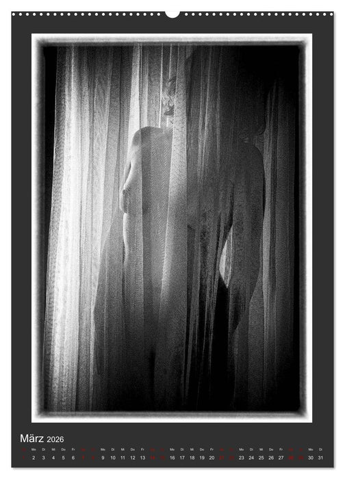 Akt - geheimnisvolle Erotik (CALVENDO Wandkalender 2026)