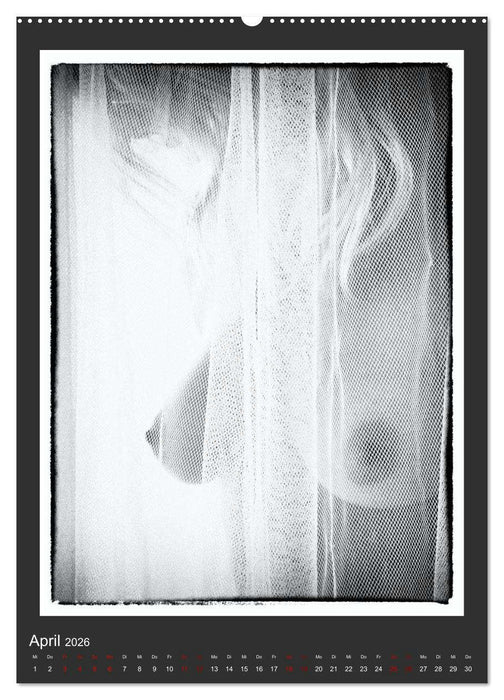 Akt - geheimnisvolle Erotik (CALVENDO Wandkalender 2026)