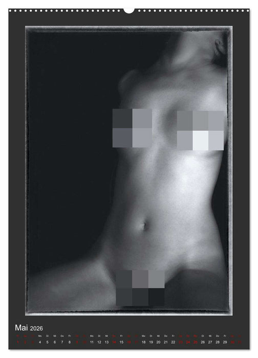 Akt - geheimnisvolle Erotik (CALVENDO Wandkalender 2026)