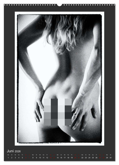 Akt - geheimnisvolle Erotik (CALVENDO Wandkalender 2026)