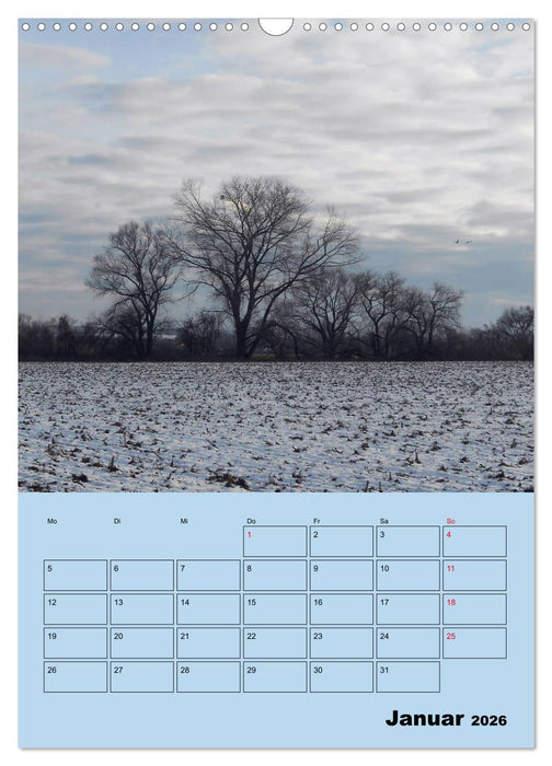 Leinemasch (CALVENDO Wandkalender 2026)
