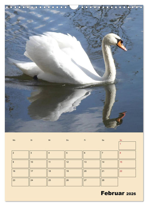 Leinemasch (CALVENDO Wandkalender 2026)