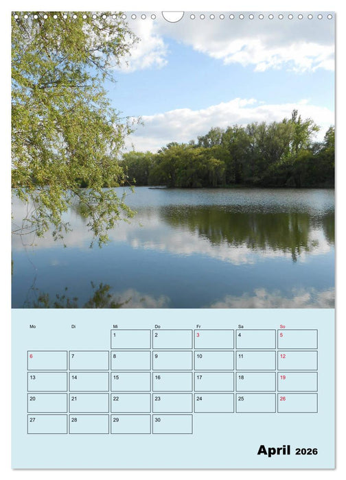Leinemasch (CALVENDO Wandkalender 2026)