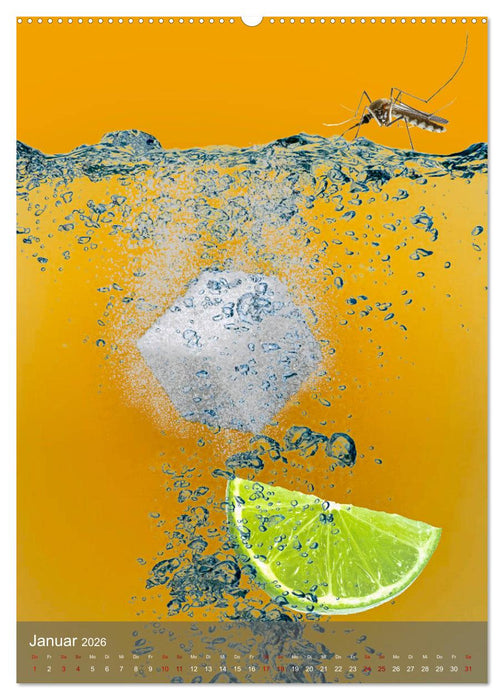 ZUCKER - kunstvoll in Szene gesetzt (CALVENDO Wandkalender 2026)