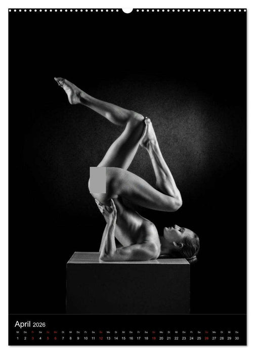 BODY SCULPTURE (CALVENDO Premium Wandkalender 2026)