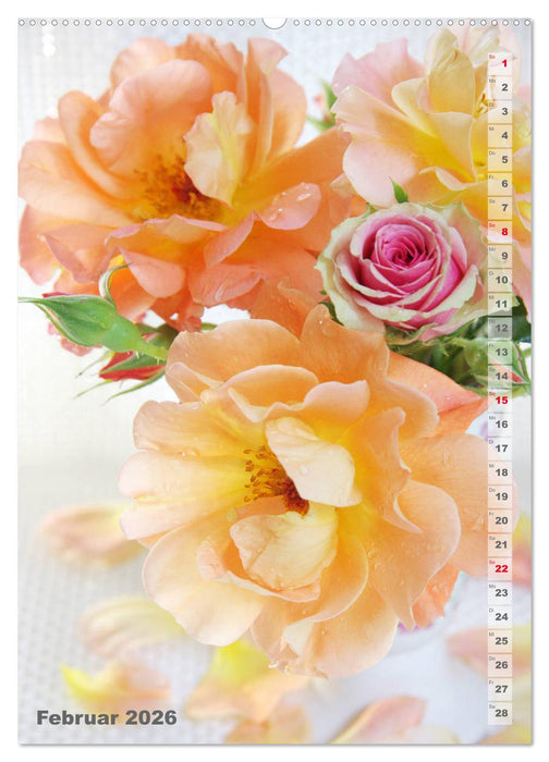 Schönste Rosen (CALVENDO Premium Wandkalender 2026)