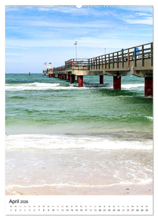 Halbinsel Darss, Portrait der Küstengemeinden (CALVENDO Wandkalender 2026)