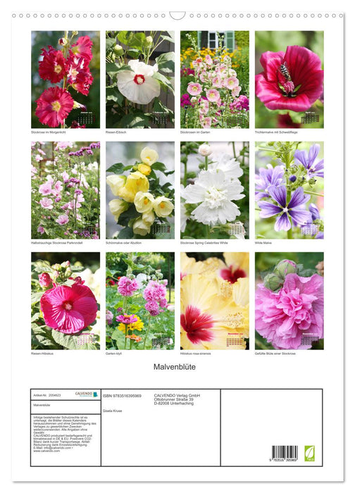 Malvenblüte (CALVENDO Wandkalender 2026)