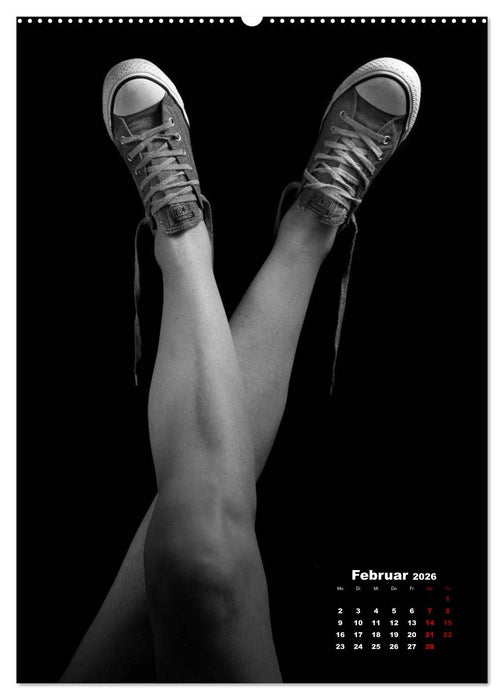 Schönheit im Alter - Die neue Sinnlichkeit (CALVENDO Premium Wandkalender 2026)