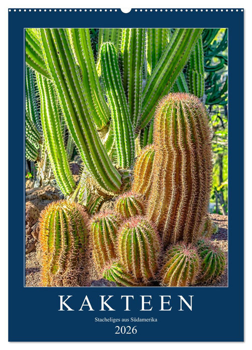 Kakteen - Stacheliges aus Südamerika (CALVENDO Wandkalender 2026)