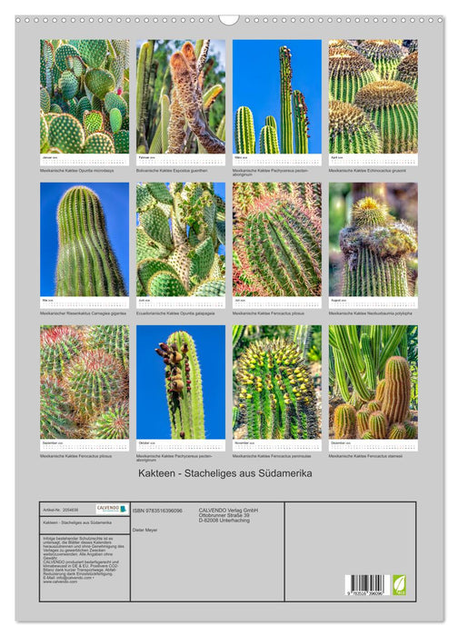 Kakteen - Stacheliges aus Südamerika (CALVENDO Wandkalender 2026)