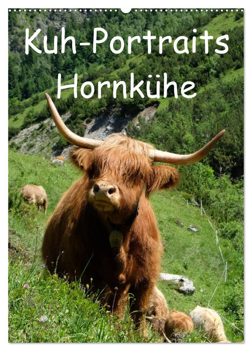 Kuhportraits Hornkühe (CALVENDO Wandkalender 2026)