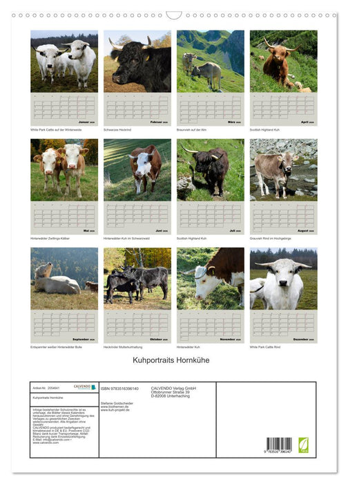 Kuhportraits Hornkühe (CALVENDO Wandkalender 2026)