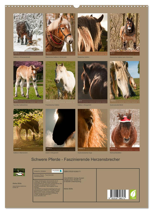 Schwere Pferde - Faszinierende Herzensbrecher (CALVENDO Premium Wandkalender 2026)