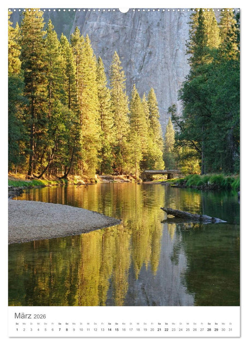 Wald - bezaubernde Landschaften (CALVENDO Premium Wandkalender 2026)