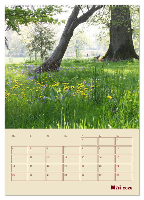 Die Cotswolds Englands grünes Herz (CALVENDO Wandkalender 2026)