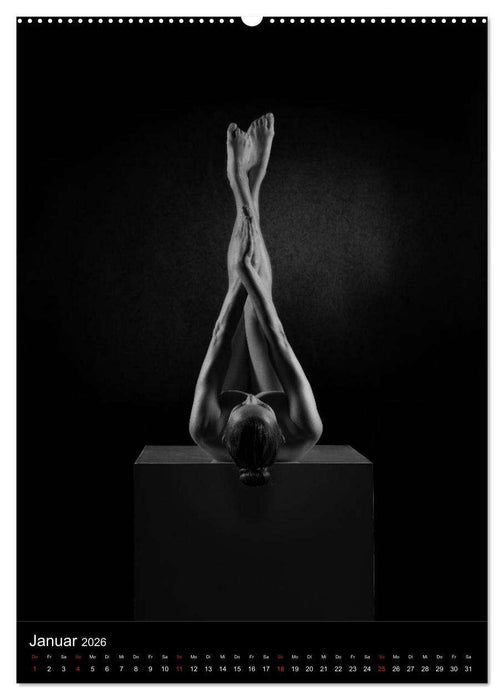 BODY SCULPTURE (CALVENDO Wandkalender 2026)