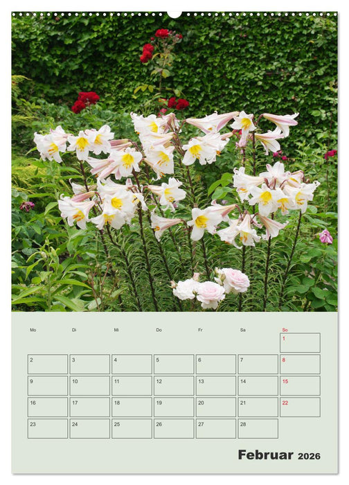Lilien im Garten (CALVENDO Premium Wandkalender 2026)