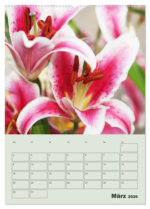 Lilien im Garten (CALVENDO Premium Wandkalender 2026)