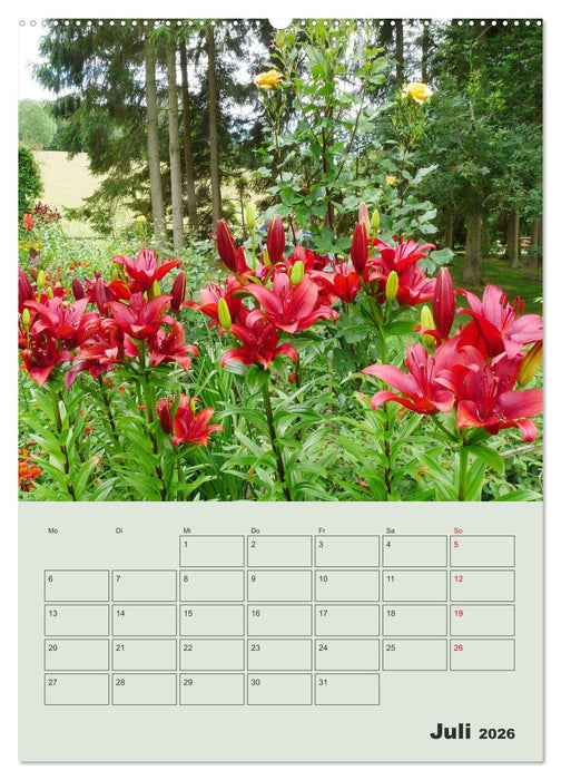 Lilien im Garten (CALVENDO Premium Wandkalender 2026)