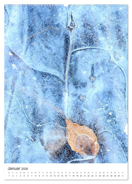 Strukturen - Steine, Eis, Pflanzen (CALVENDO Wandkalender 2026)