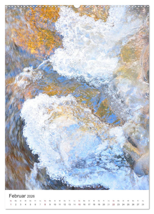 Strukturen - Steine, Eis, Pflanzen (CALVENDO Wandkalender 2026)