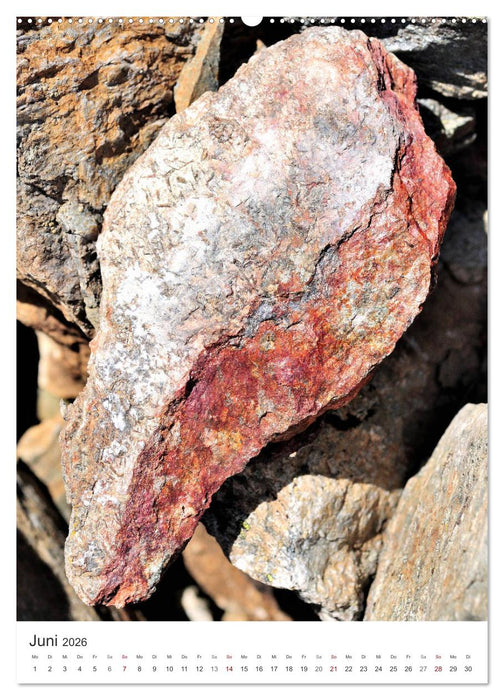 Strukturen - Steine, Eis, Pflanzen (CALVENDO Wandkalender 2026)