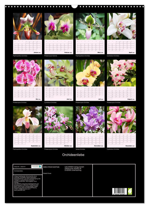 Orchideenliebe (CALVENDO Wandkalender 2026)