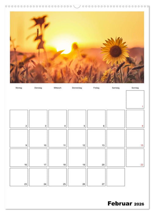 Bayerische Bergwelten (CALVENDO Premium Wandkalender 2026)