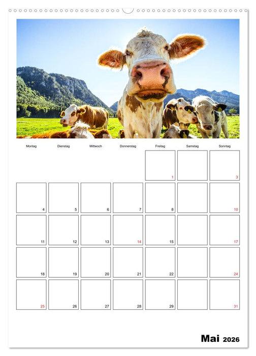 Bayerische Bergwelten (CALVENDO Premium Wandkalender 2026)