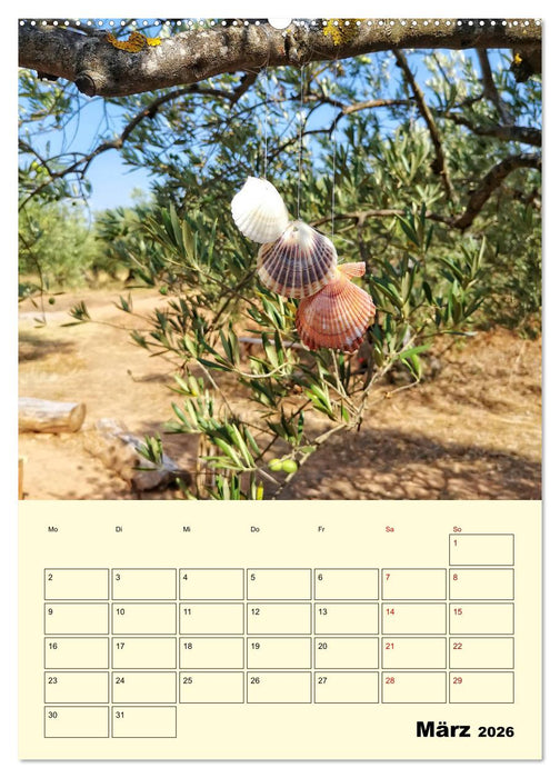 Buen Camino - Mein Jakobsweg - Camino Francés (CALVENDO Premium Wandkalender 2026)