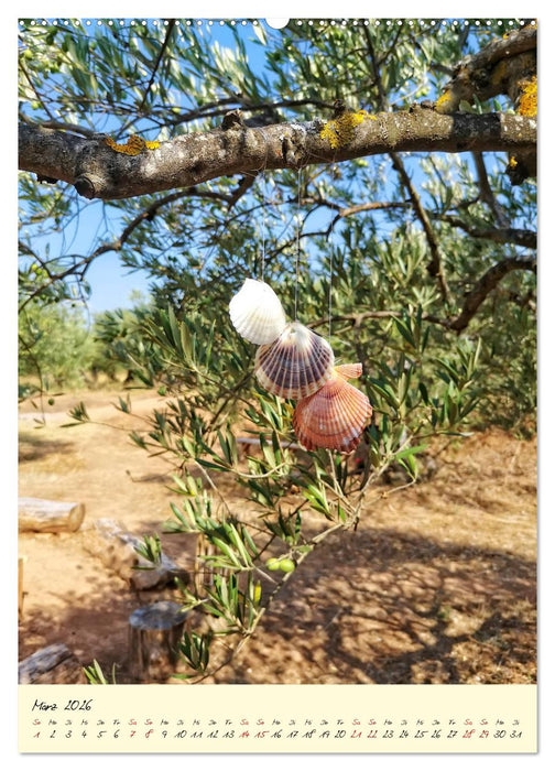 Buen Camino - Auf dem Jakobsweg - Camino Francés (CALVENDO Premium Wandkalender 2026)