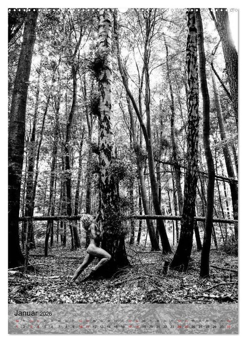 Naked: Akt + Landschaft (CALVENDO Premium Wandkalender 2026)