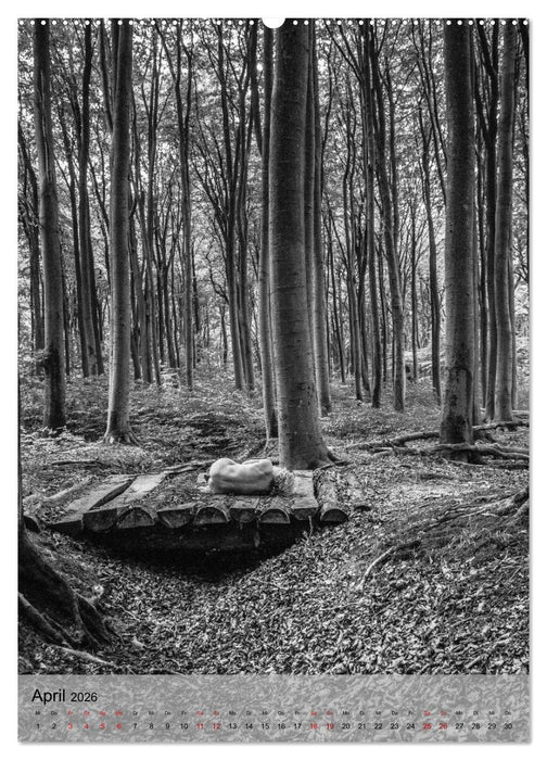 Naked: Akt + Landschaft (CALVENDO Premium Wandkalender 2026)