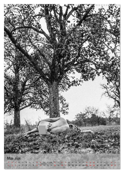 Naked: Akt + Landschaft (CALVENDO Premium Wandkalender 2026)