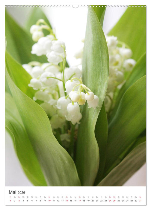 Verliebt in Blumen (CALVENDO Premium Wandkalender 2026)