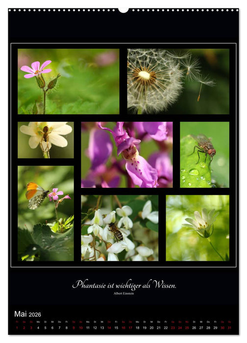 Sprache in Bildern - Collagen aus der Natur (CALVENDO Premium Wandkalender 2026)