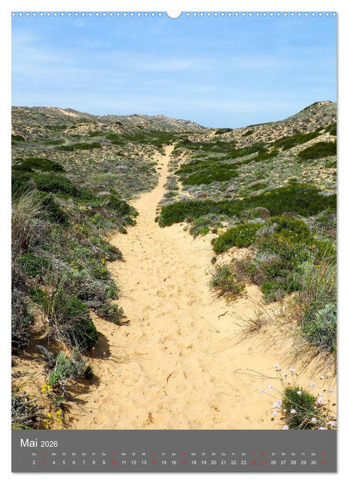 Rota Vicentina (CALVENDO Premium Wandkalender 2026)