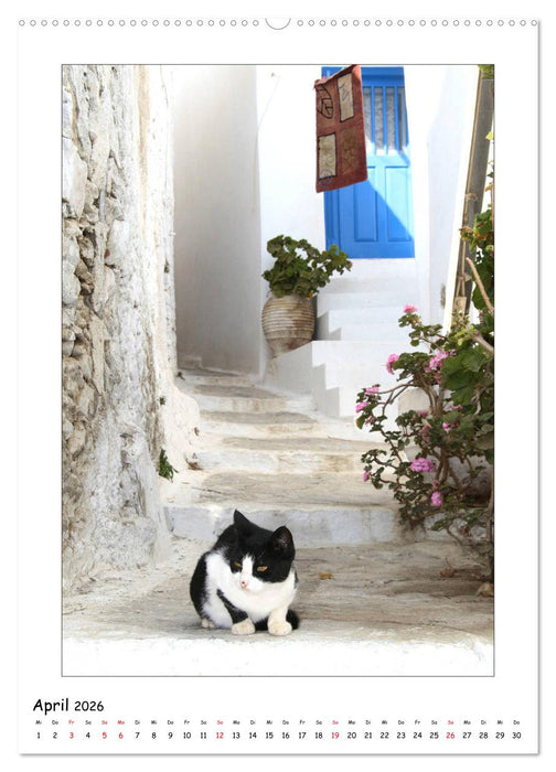 Griechische Gefühle (CALVENDO Premium Wandkalender 2026)