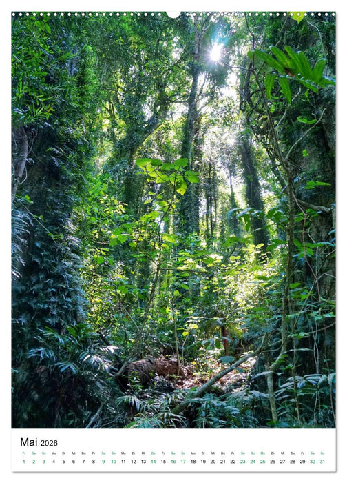 Regenwald - Australien (CALVENDO Premium Wandkalender 2026)