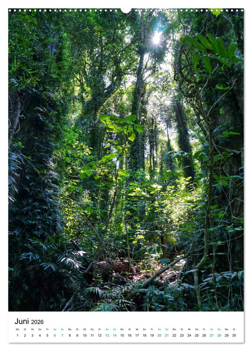 Australien - Ostküste (CALVENDO Premium Wandkalender 2026)