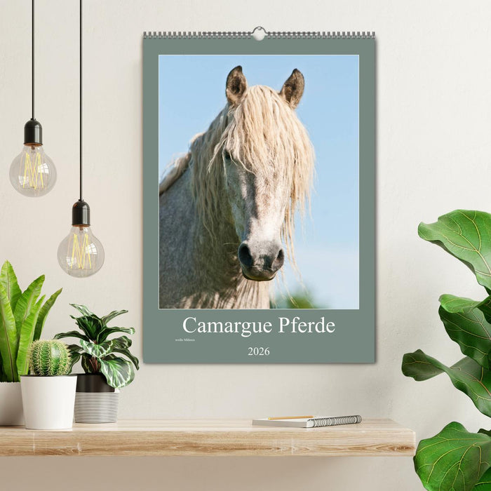 Camargue Pferde - weiße Mähnen (CALVENDO Wandkalender 2026)