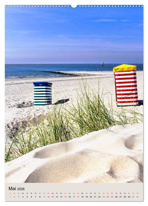 Borkum Strandspaziergang (CALVENDO Wandkalender 2026)