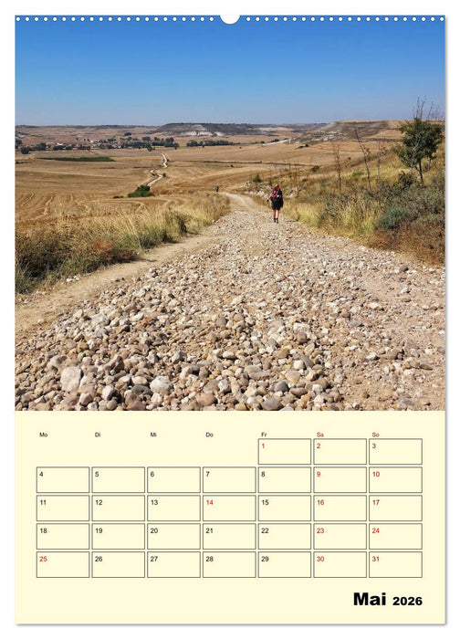 Buen Camino - Mein Jakobsweg - Camino Francés (CALVENDO Wandkalender 2026)