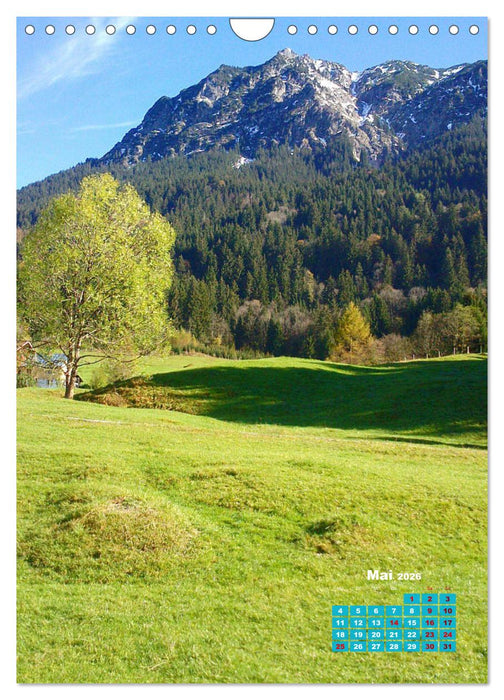 Stille der Natur (CALVENDO Wandkalender 2026)