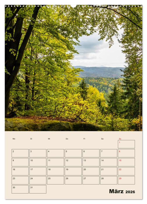 Zauberhafte Sächsische Schweiz (CALVENDO Wandkalender 2026)
