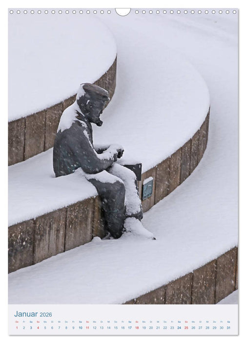 Kappeln und Schlei (CALVENDO Wandkalender 2026)