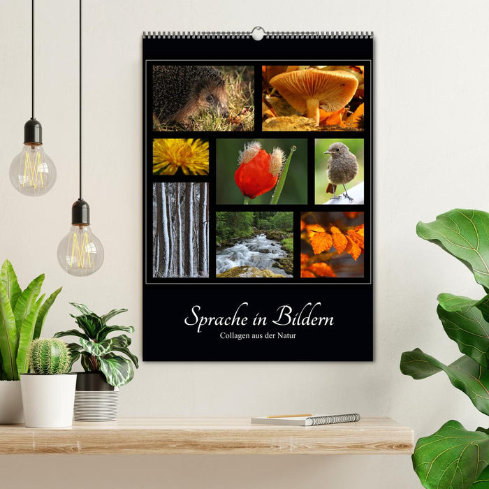 Sprache in Bildern - Collagen aus der Natur (CALVENDO Wandkalender 2026)