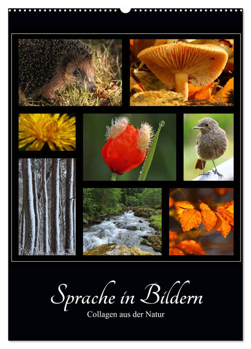 Sprache in Bildern - Collagen aus der Natur (CALVENDO Wandkalender 2026)