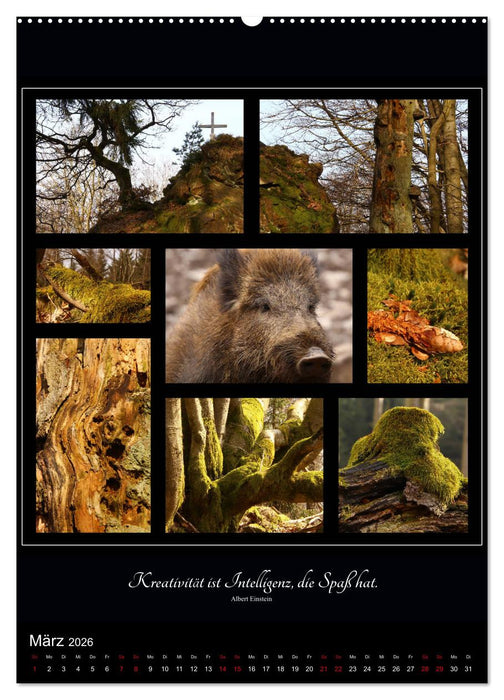 Sprache in Bildern - Collagen aus der Natur (CALVENDO Wandkalender 2026)